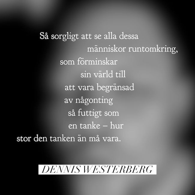 En begränsad värld